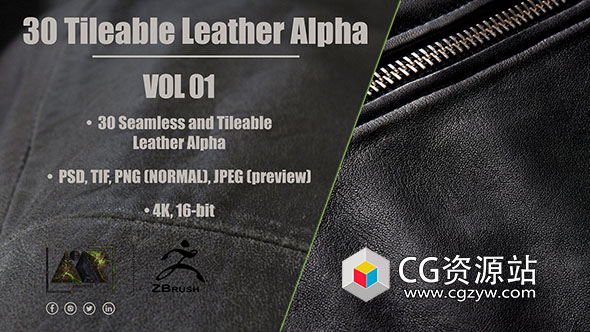 30个皮革无缝平铺贴图素材 30 Leather Alphas