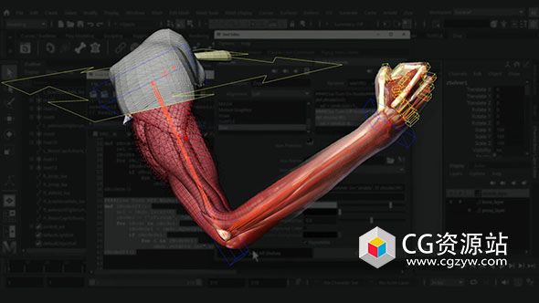 Ziva插件肌肉绑定动画Maya教程+中英字幕