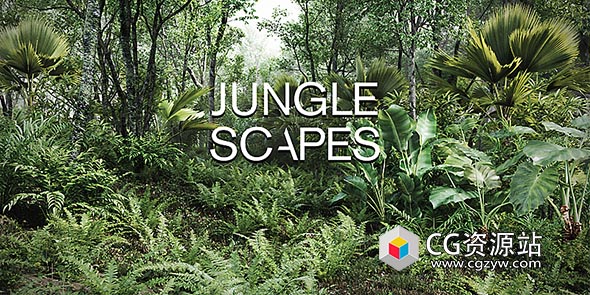 丛林植物树木景观Blender预设 Jungle Scapes-图片1