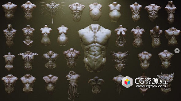 ZBrush 33种生物怪物躯干笔刷模型预设 33 Character & Creature Zbrush Insertmesh Brus