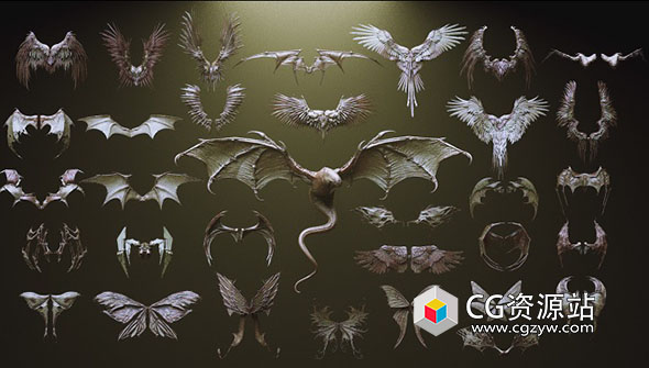 ZBrush 33个生物角色翅膀IMM笔刷3D模型合集-图片1