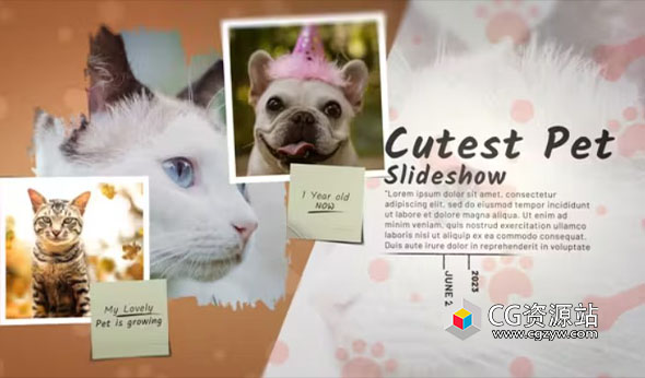 AE模板-可爱宠物幻灯片照片相册展示片头 Cutest Pet Slideshow