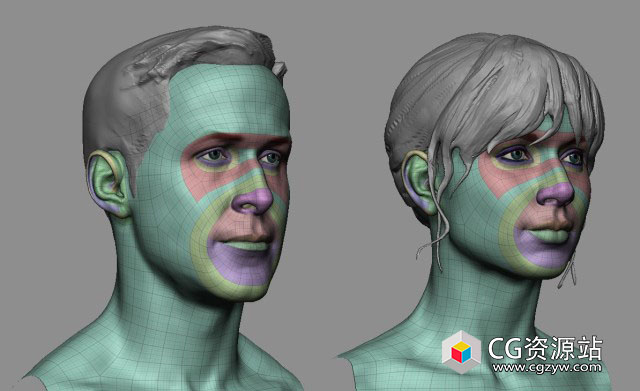 ZBrush基础人头模型预设 Production Ready Head Base Mesh
