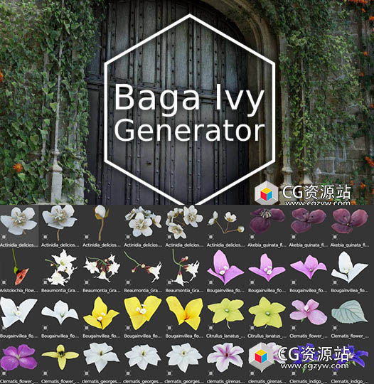 Blender常春藤爬山虎生成插件 Baga Ivy Generator 2.0.2+使用教程-图片1