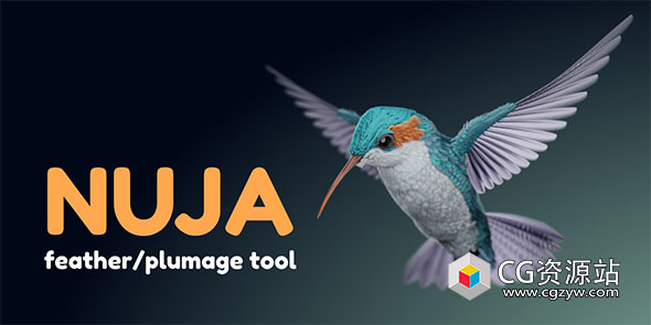 Blender 150组羽毛预设 Nuja – Feather And Plumage Tools+视频教程