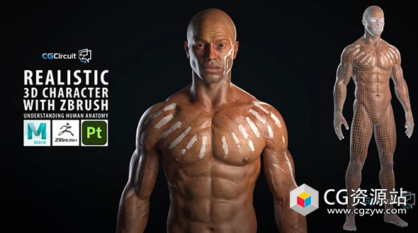 使用Zbrush制作逼真3D角色人体骨架肌肉解剖视频教程