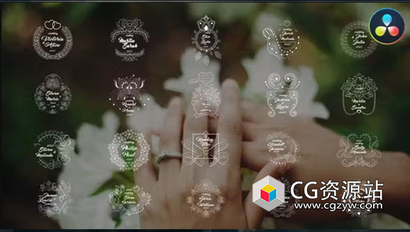 达芬奇模板-甜蜜爱情花环装饰婚礼标题动画 Wedding Titles