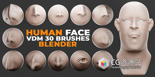 Blender-面部五官鼻子眼睛嘴巴耳朵VDM笔刷预设 Human Face Vdm Brushes