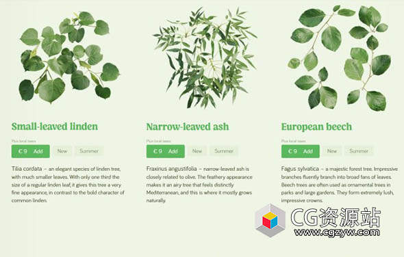 Blender树枝树叶模型资产预设 The Grove – Twigs