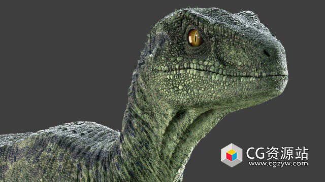 Maya恐龙绑定3D模型 Raptor Maya Rig