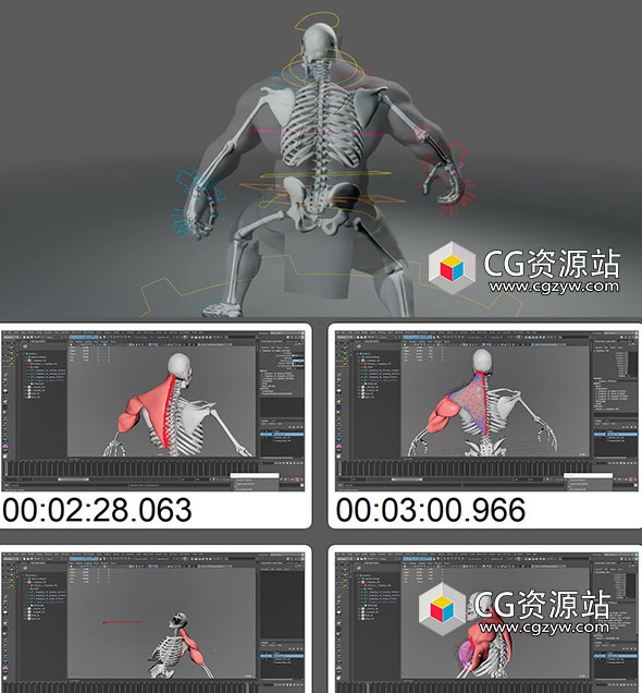 Maya ZIVA Dynamics角色绑定动画大师级视频教程