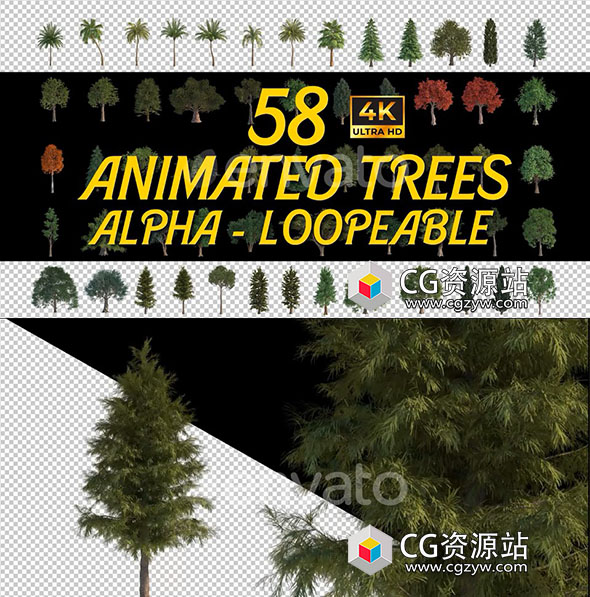 AE模板-58组4K植物树木循环动画含视频素材+透明通道