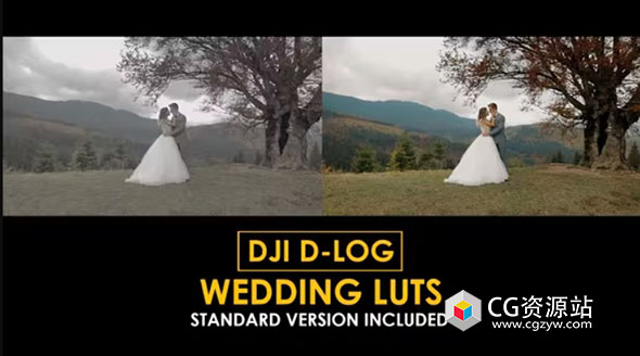 142个婚礼调色预设 DJI D-Log Wedding LUT