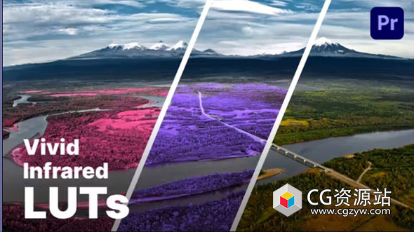 20组自然风景红外LUT视频调色预设 Aerochrome Infrared LUTs