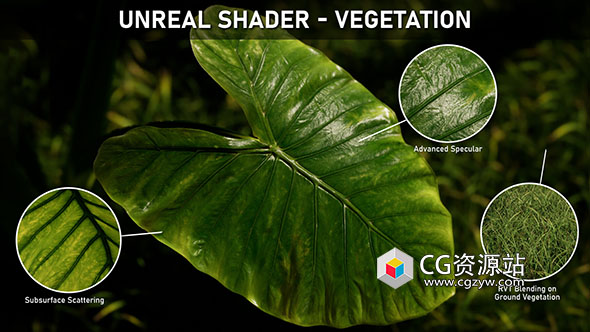 UE5植物植被材质制作教程+中英文字幕 Unreal Shader – Vegetation