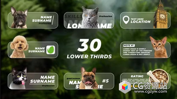AE模板-30组带有照片视频多功能字幕条动画预设 Lower Thirds with Photo or Video