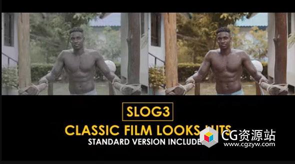 Slog3 经典电影外观LUTs视频调色预设 Slog3 Classic Film Looks and Standard Color LUTs