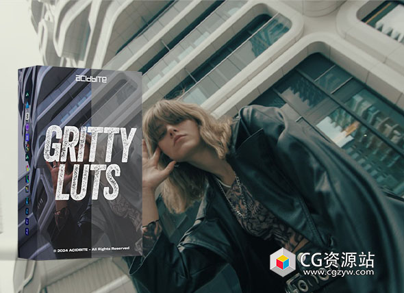 600多个视频短片冷蓝沙棕黑白风格个LUTs调色预设 Acidbite – GRITTY LUTS-图片1
