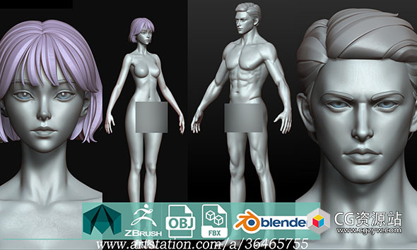 9组Zbursh年轻男女人体解剖建模雕刻3D模型-图片1