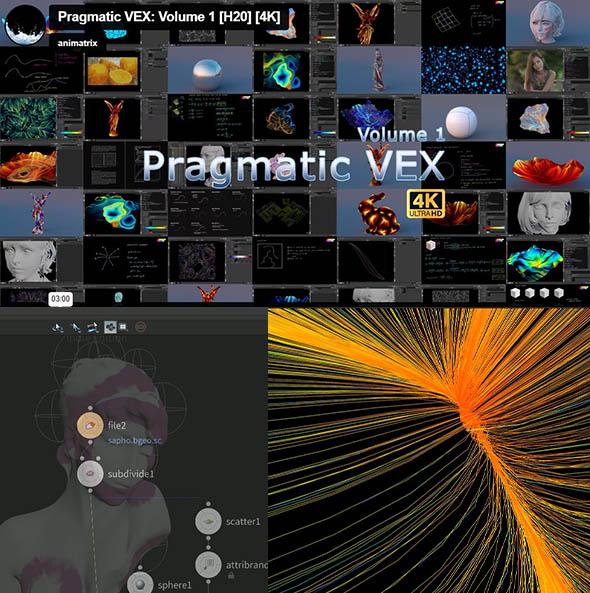 Houdini VEX属性视觉特效制作系列视频教程+中英文字幕