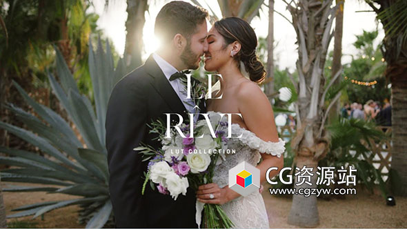 唯美旅拍婚礼梦幻氛围冷绿色调柔光LUTs调色预设 Gamut – Le Reve