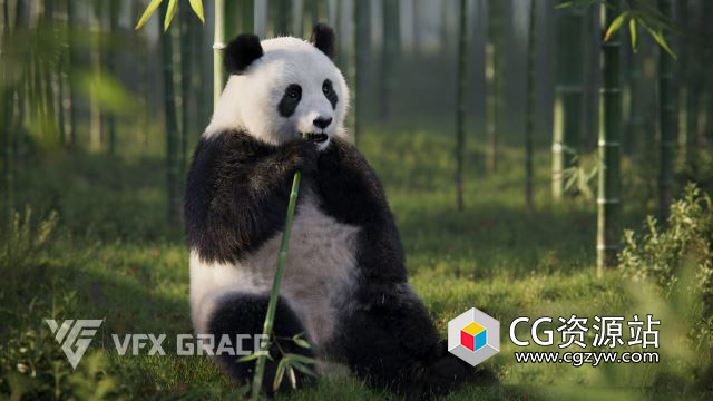 Blender/OBJ熊猫动画3D模型 Panda Animation