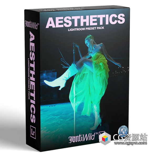 LR预设-26组时尚摄影美学Lightroom调色预设 Aesthetics Lightroom Preset Pack-图片1