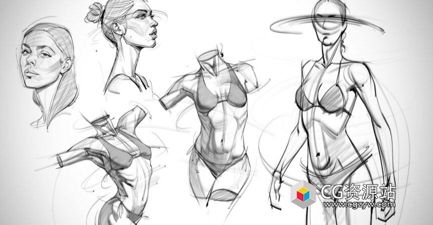 人体解剖学头部躯干手臂腿部绘画视频教程+中英文字幕 The Anatomy Survival Guide-图片1