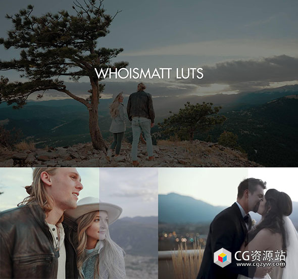 电影自然婚礼温暖色调LUTs视频调色预设 WhoisMatt LUT-图片1