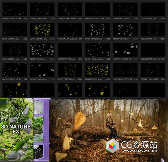 33组树枝岩石树叶漂浮下落漩涡过渡自然特效高清视频素材