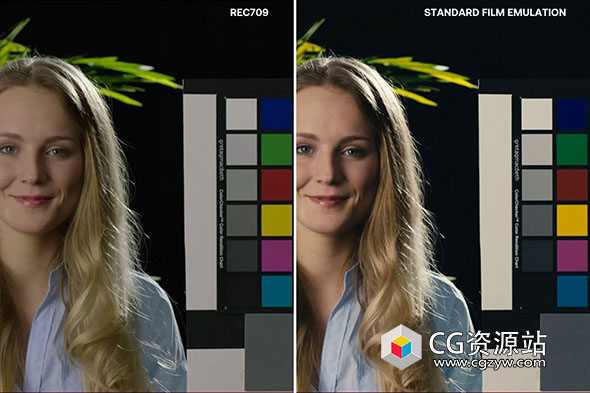 AE/PR模拟胶片视频调色插件 Look Designer V3.1.1 For Adobe Win