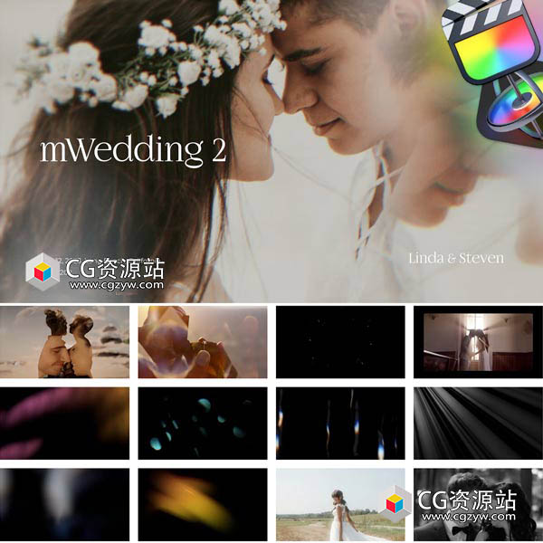 达芬奇插件-61组婚礼视频特效叠加转场文字标题字幕预设 mWedding 2-图片1