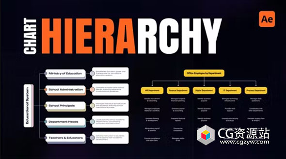 AE模板-层次结构图信息图表 Hierarchy Chart