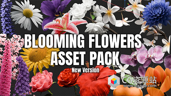 Blender盛开的花朵动画资产预设 Blooming Flowers V4.1