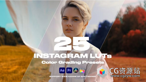25个社交媒体精美LUT调色预设 Colorify Instagram LUTs