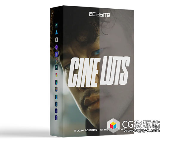 电影感婚礼LUTs视频调色预设  Cine LUTs