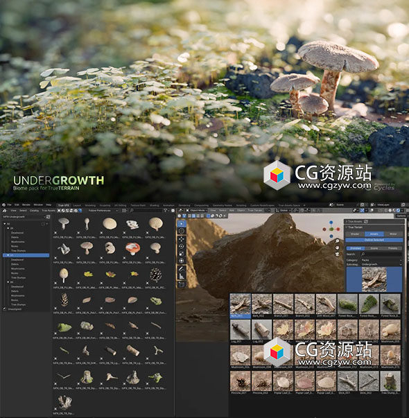 36组灌木丛扫描2K4K8K石头树墩枝干叶子蘑菇Blender资产预设 Undergrowth Asset Library-图片1