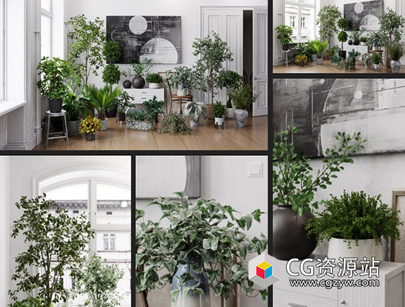 室内盆栽植物3D模型 Archmodels vol. 280 3DS MAX格式