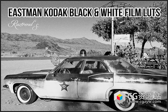 122个伊士曼柯达通用黑白胶片模拟3D LUT调色预设 Eastman Kodak Black and White Films LUTs-图片1
