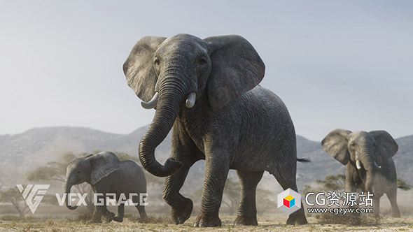 Blender非洲大象绑定3D模型 African Elephant Animated – VFX Grace