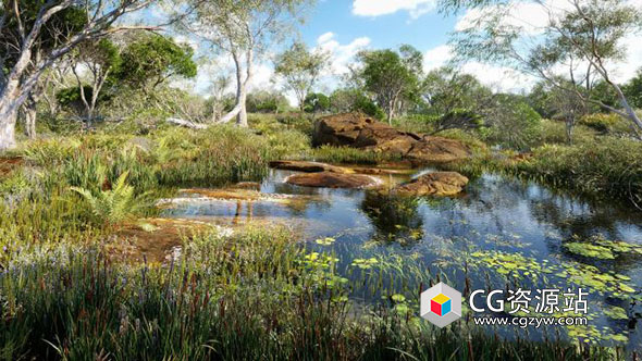 湿地植物植被池塘水边植物3D模型 Globe Plants – Bundle 46
