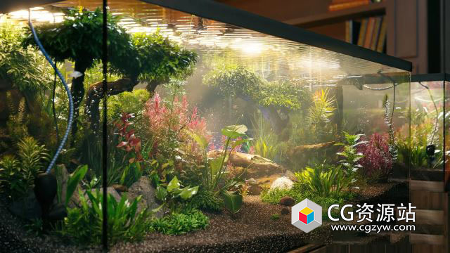 鱼缸水族馆植物3D模型 Globe Plants – Bundle 48