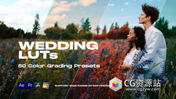 50个风景婚礼LUT调色预设 Colorify Wedding LUTs