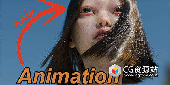 头发生成Blender预设 Hair Nodes V2