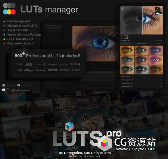 AE/PR脚本-LUT管理器实时批量预览调色+500个预设  LUTs Manager-图片1