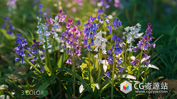 35种低多边形植物蓝铃花3D模型(Blend/FBX/OBJ格式)Bluebell Pack vol05 Low-poly 3D model-图片1