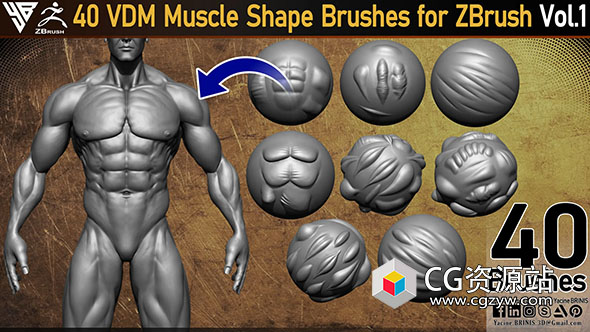 40个ZBrush肌肉形状笔刷 40 VDM Muscle Shape Brushes for ZBrush Vol 01