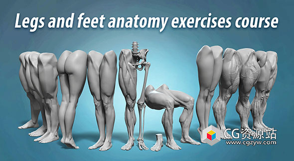 Blender腿部和足部解剖练习课程+中英文字幕