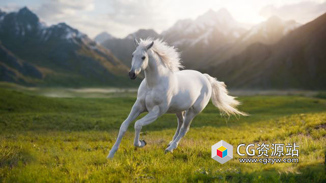 Blender白马绑定动画3D模型资产 White Horse Animation