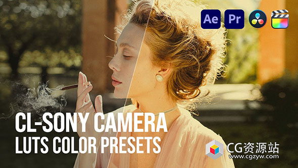 50个索尼系列相机S-LOG和Rec.709LUTs调色预设 CL-Sony LUT Color Pack-图片1
